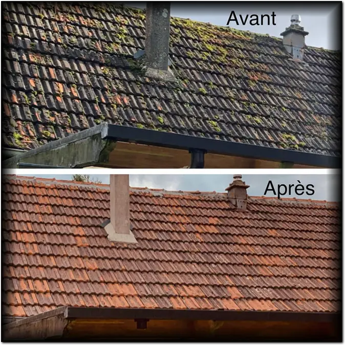 Nettoyage de toiture Lisieux, Calvados (14)