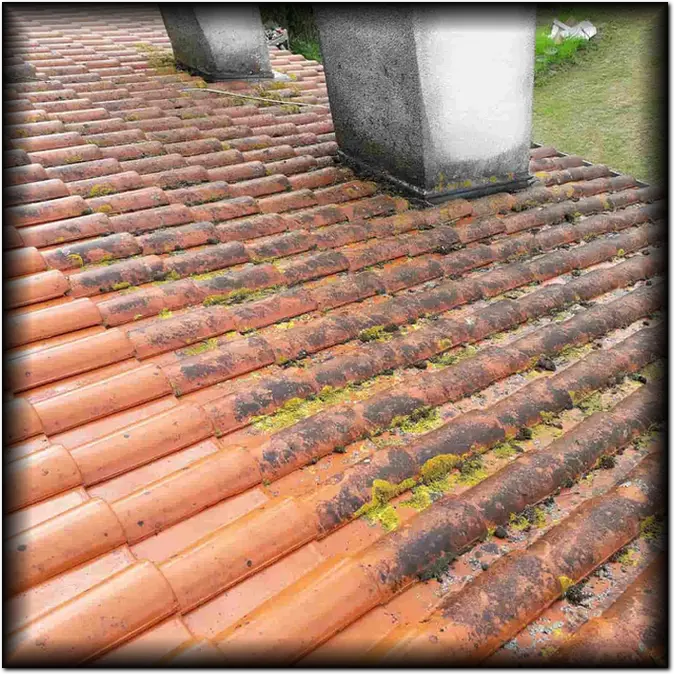 Nettoyage de toiture Lisieux, Calvados (14)